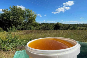 Калорійність меду та його корисність для здорового способу життя фото