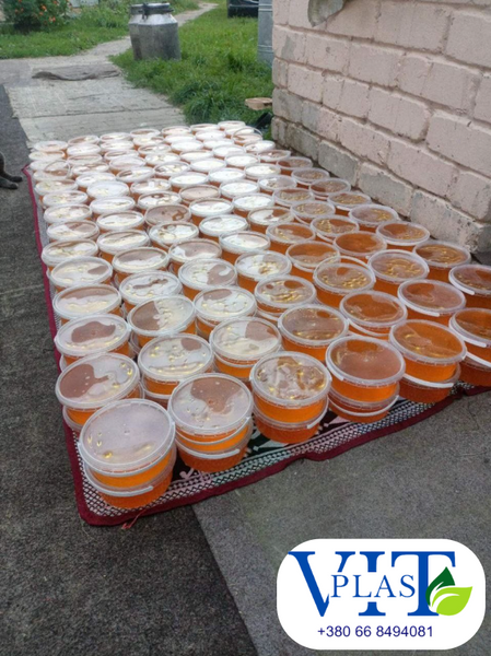 Пластикове відро 0,5 літра біле харчова тара оптом для меду , соління, квашенини, ікри, риби, харчових продуктів vidro_bile_05L фото
